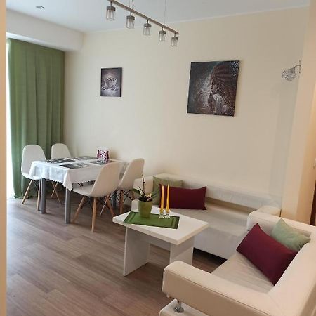 Nelli Apartamentai Druskininkai Extérieur photo