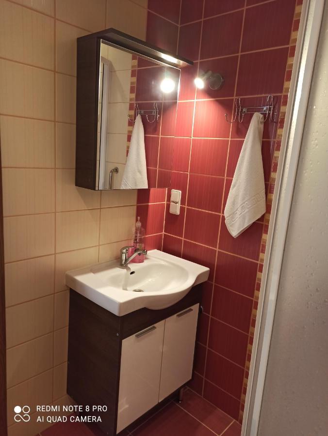 Nelli Apartamentai Druskininkai Extérieur photo