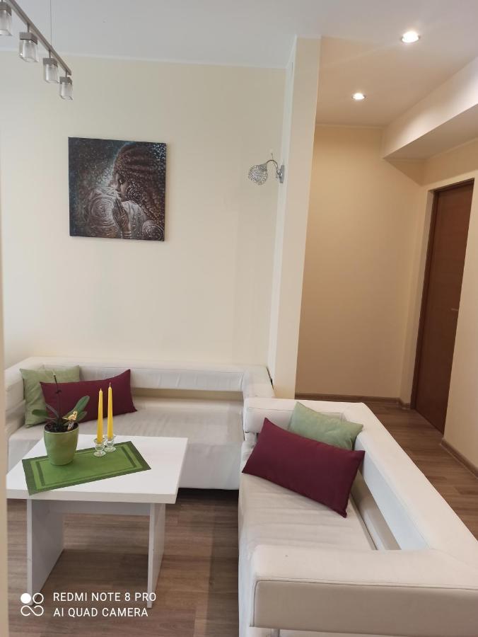 Nelli Apartamentai Druskininkai Extérieur photo