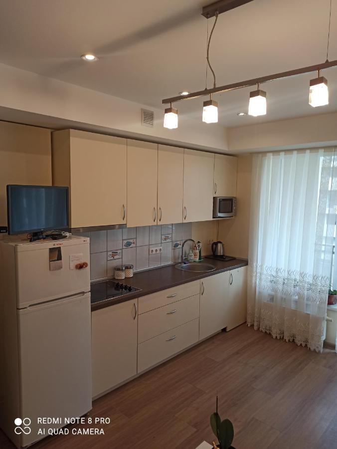 Nelli Apartamentai Druskininkai Extérieur photo